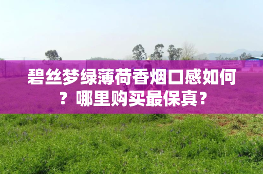 碧丝梦绿薄荷香烟口感如何？哪里购买最保真？